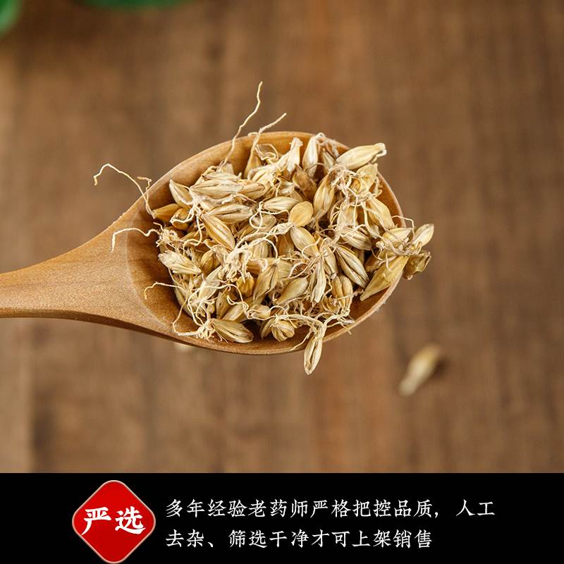 生麦芽回奶中药材500g断奶茶搭山楂水炒大麦芽泡茶降泌乳素同仁堂 - 图1