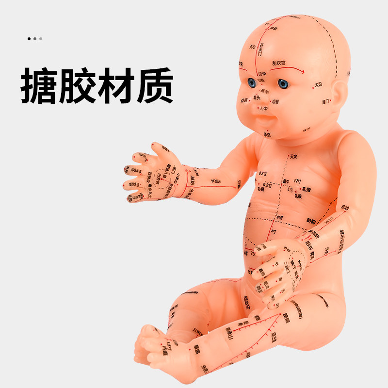 全身穴位娃娃经络图按摩书中医小儿推拿教学保健月嫂培训宝宝模型