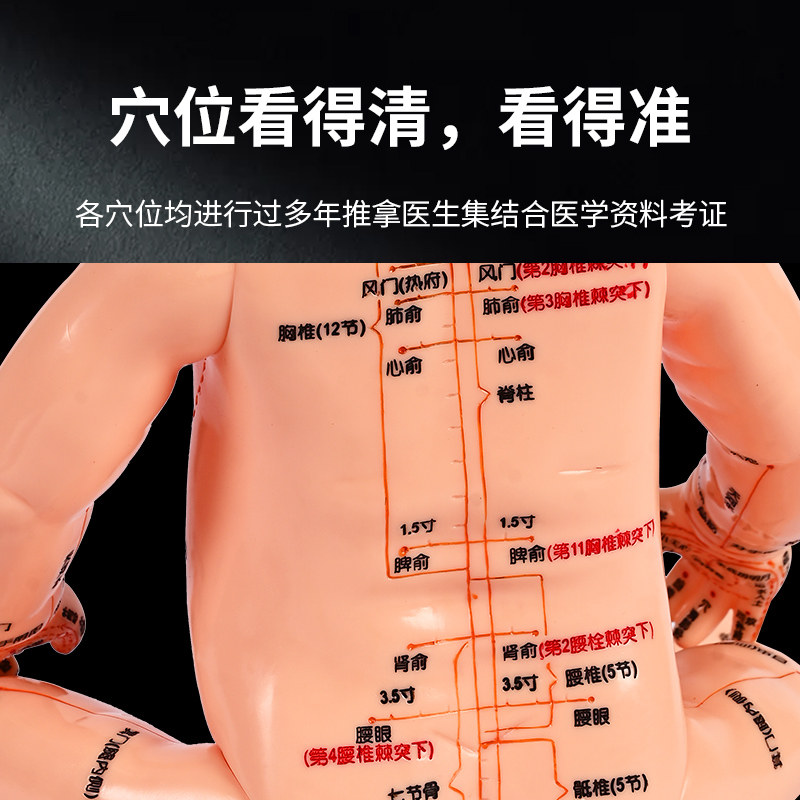 全身穴位娃娃经络图按摩书中医小儿推拿教学保健月嫂培训宝宝模型