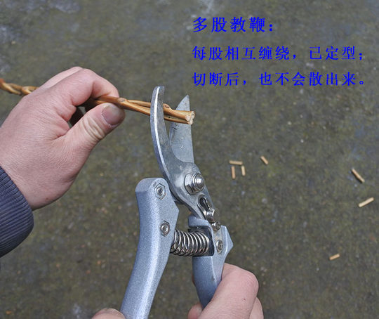 手工竹枝教鞭 柔性【复古牧牛鞭不伤筋骨】创意文玩竹编小品