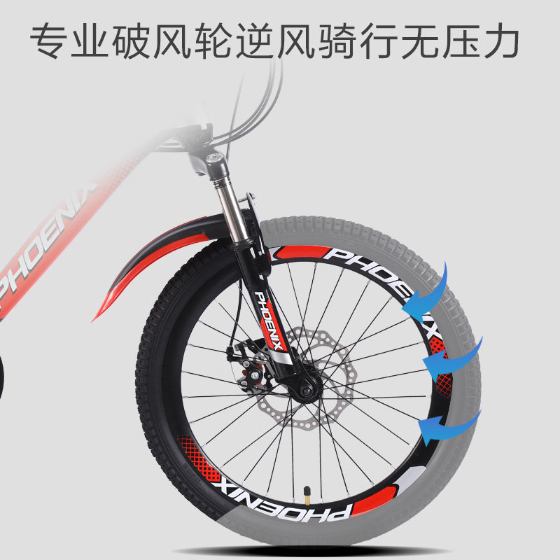 凤凰7-8-9-10-11岁男孩20寸自行车 凤凰广盛弘自行车