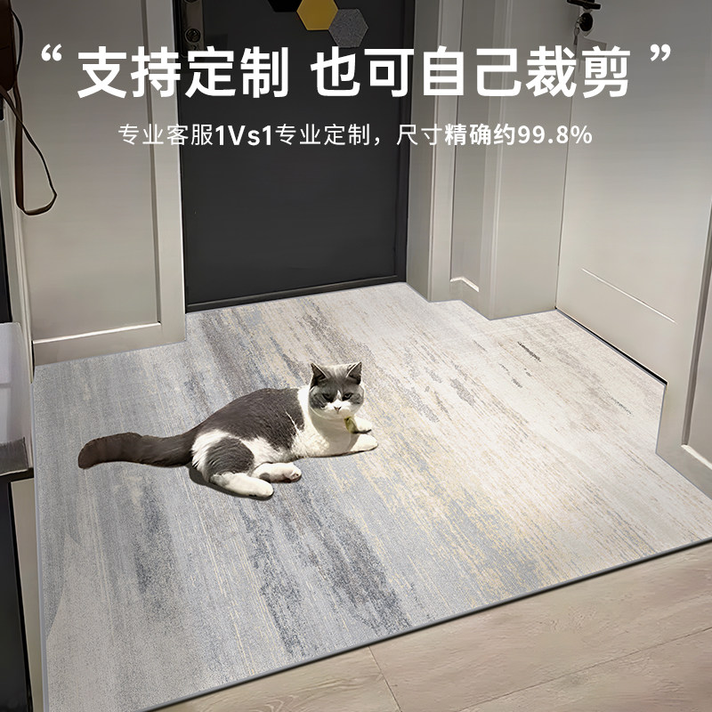 高级入户门地垫进门地毯门口脚垫轻奢新款门垫耐脏定制免洗可裁剪,淘宝优惠券,粉丝福利购,淘宝优惠卷