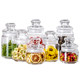 Glass household transparent storage jar with lid
