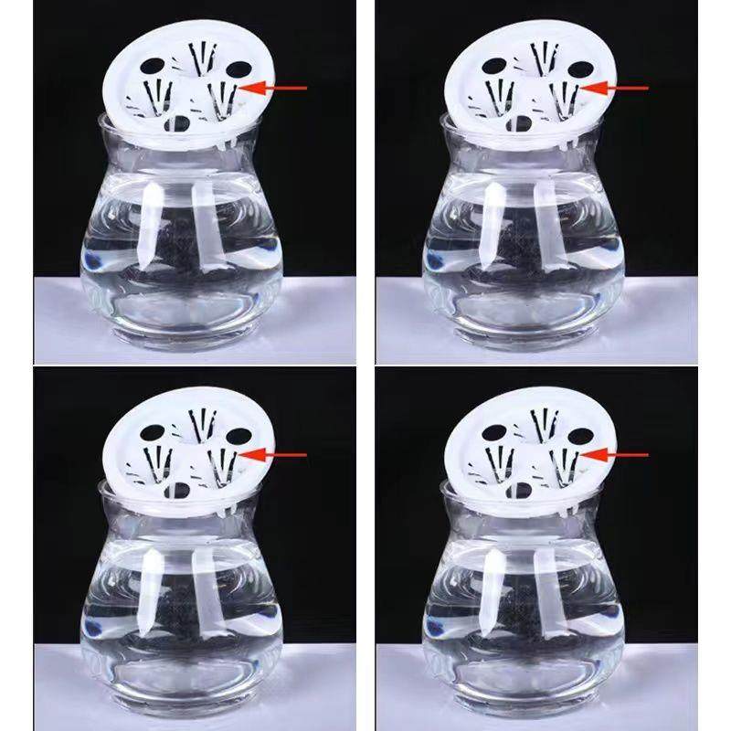 水培观音竹富贵竹竹子专用三孔夹子种植篮透明塑料水培花瓶,淘宝优惠券,粉丝福利购,淘宝优惠卷