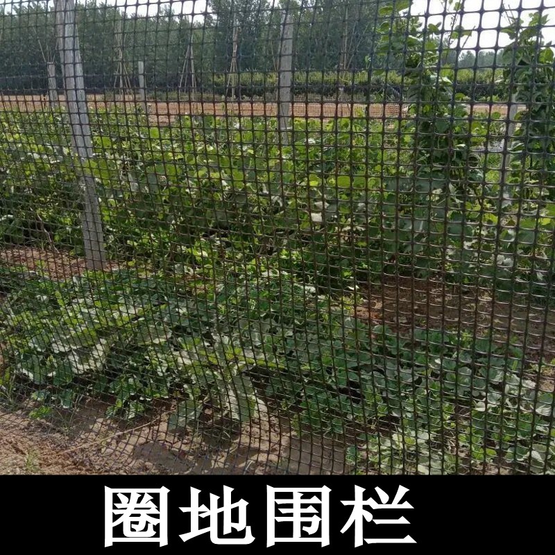 塑料网菜园围网土工格栅养殖鸡鸭隔离窗户阳台围栏网护栏网防猫鼠 - 图0