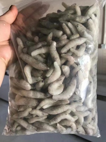喂鱼冻虾龙鱼饲料专用鱼食河虾鱼食金龙鱼鱼食淡水虾冰冻冷冻 - 图2