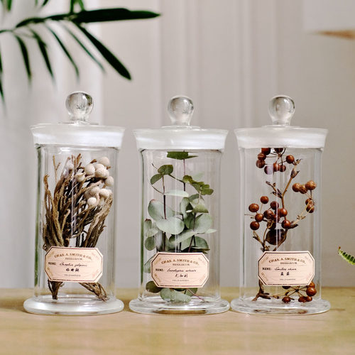 现代创意复古植物标本中药中草药材科普样板书房陈列饰品玻璃瓶 - 图2