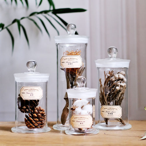 现代创意复古植物标本中药中草药材科普样板书房陈列饰品玻璃瓶 - 图0