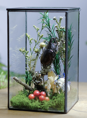 玻璃房桌面摆件自然田园办公室