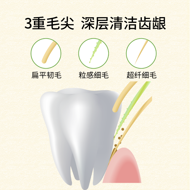 EBISU/惠百施环保宽头中毛牙刷成人清洁护齿牙刷进口4支装,淘宝优惠券,粉丝福利购,淘宝优惠卷