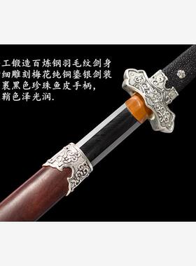 新疆包邮傲雪寒梅剑龙泉
