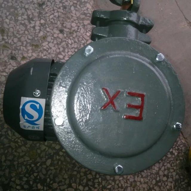 工厂直发 防爆马达电机YB380M2-4 1HP 0.75KW 立式 - 图1