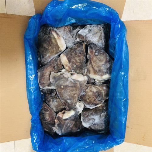 深海新鲜分割大鸦片鱼头大鲽鱼头比目鱼头30斤鲜冻海鱼6-9两 - 图0
