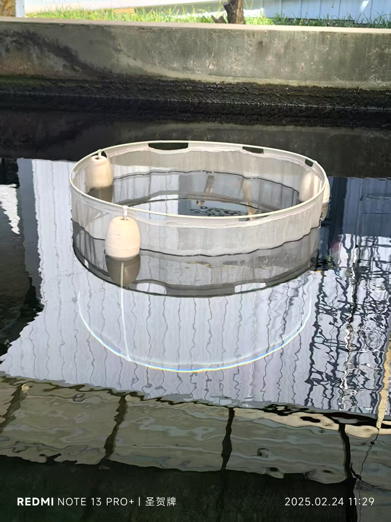 定做圆形养殖网箱浮动式隔离加厚100目水花产卵育苗锦鲤观赏鱼网,淘宝优惠券,粉丝福利购,淘宝优惠卷