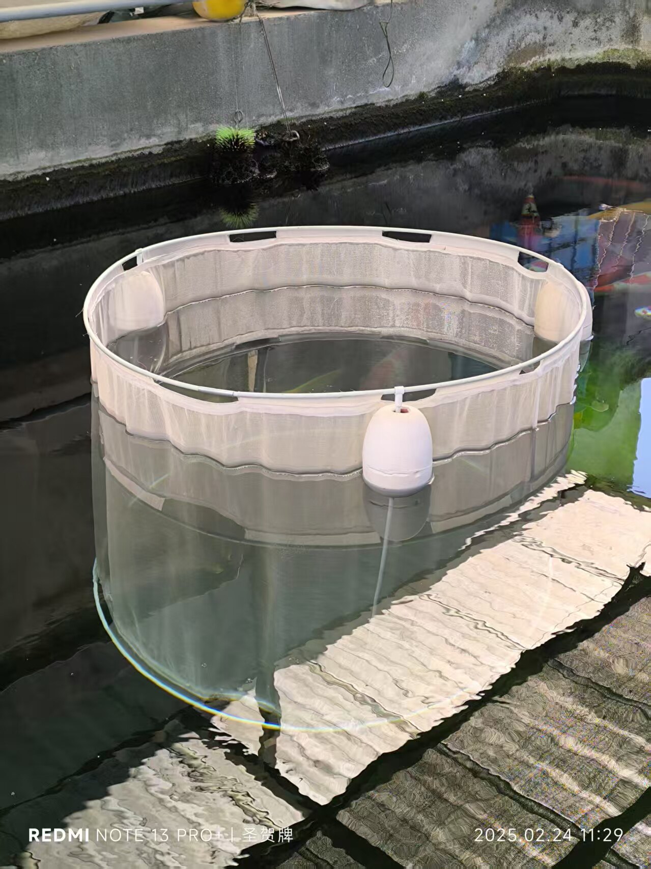 定做圆形养殖网箱浮动式隔离加厚100目水花产卵育苗锦鲤观赏鱼网,淘宝优惠券,粉丝福利购,淘宝优惠卷