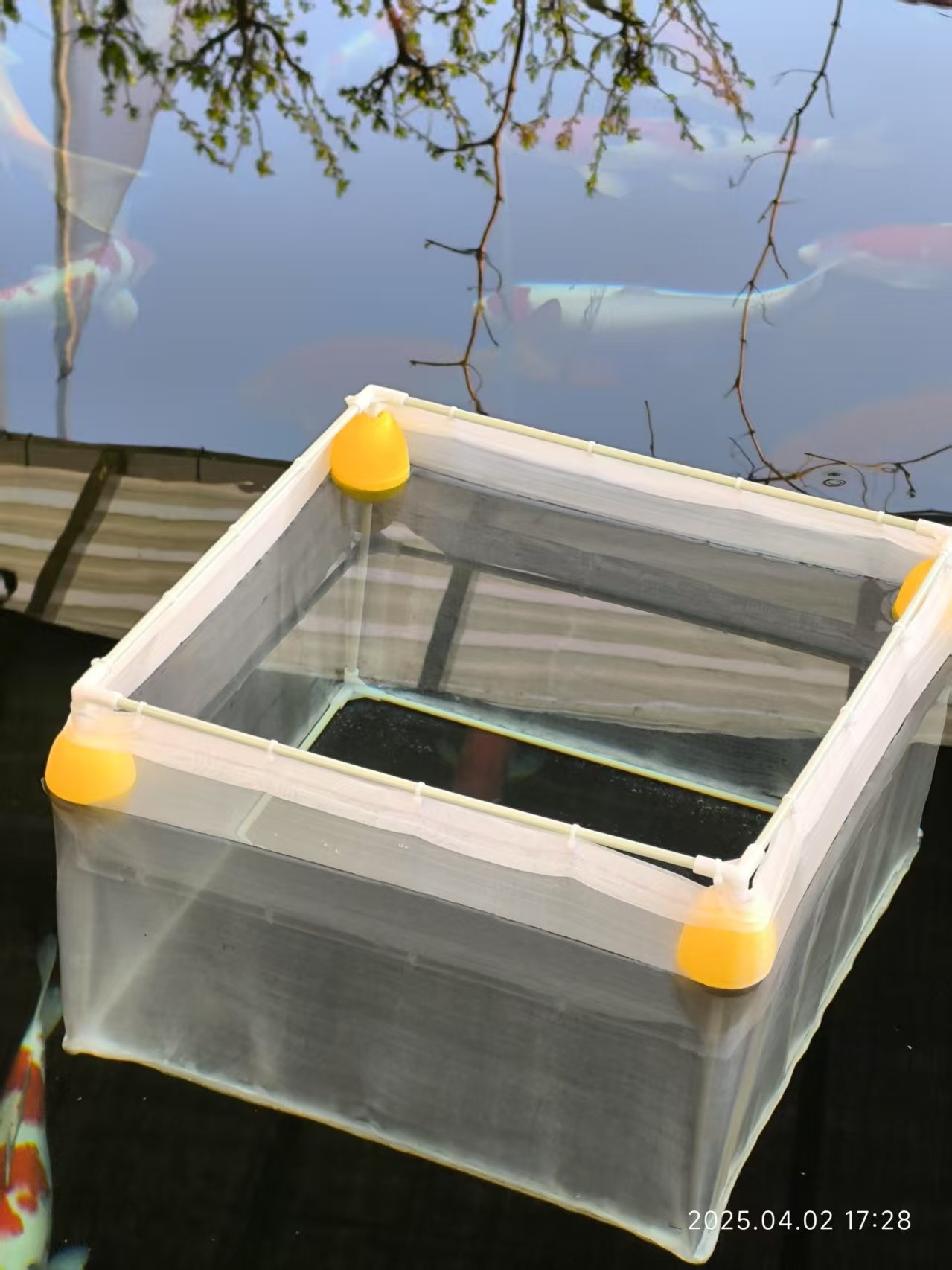 锦鲤水花专用孵化产卵育苗观赏鱼养鱼隔离存鱼网箱悬浮动漂鱼护厚,淘宝优惠券,粉丝福利购,淘宝优惠卷