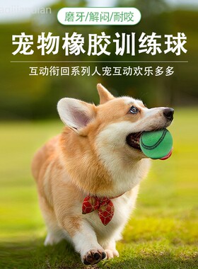 狗狗玩具球耐咬磨牙幼犬实心球大