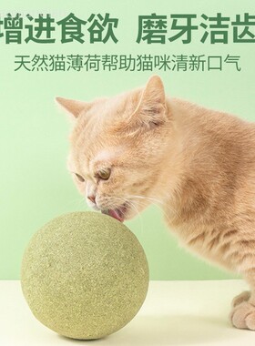 猫玩具超大猫薄荷球自嗨解闷神器