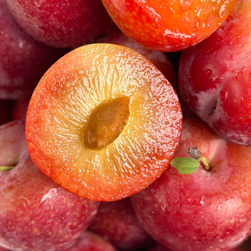 顺丰发货空运智利进口樱桃李子红心时令新鲜孕妇水果多汁整箱包邮,淘宝优惠券,粉丝福利购,淘宝优惠卷