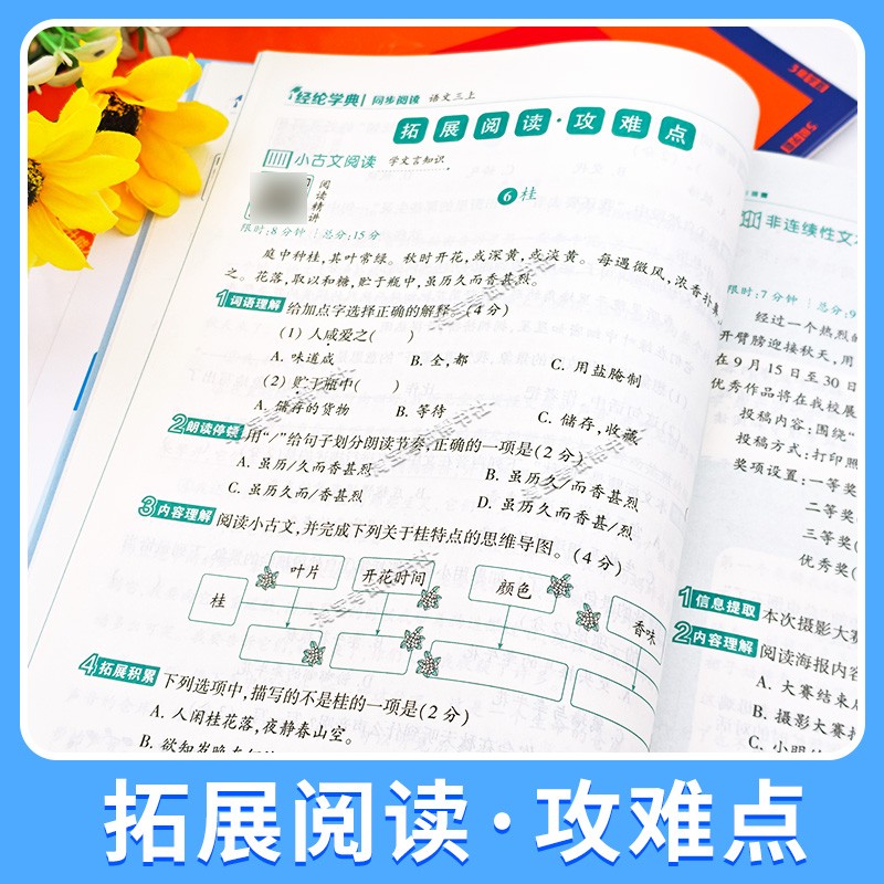 2026秋小学学霸同步阅读一二三四五六年级上册下册语文专项训练真题5星学霸思维导图方法拆解训练主题阅读单元拓展课外训练重难点