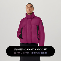 CANADA Goose Canada Goose Junction ladies short black mark down coat of goose jacket 2620WB