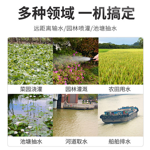 名磊12v充电式抽水泵农村浇菜神器浇水机农用灌溉户外浇地抽水机 - 图0