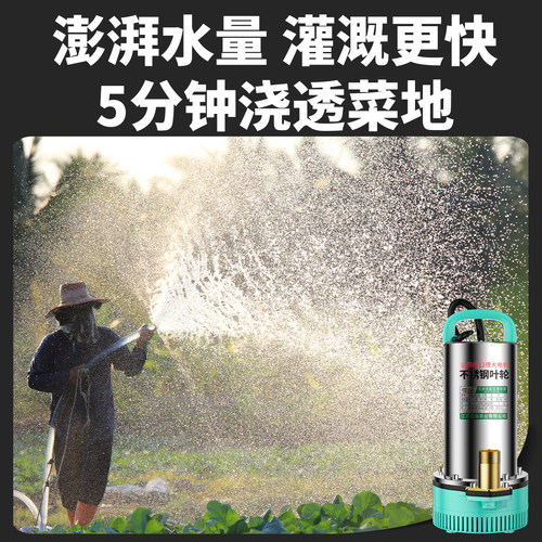 12V抽水泵大功率24伏直流潜水泵48v60v72v电动车电瓶车专用水泵机 - 图0