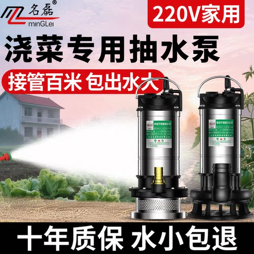 潜水泵220v高扬程大流量高压水泵抽水家用浇菜小型抽水泵农用灌溉 - 图1