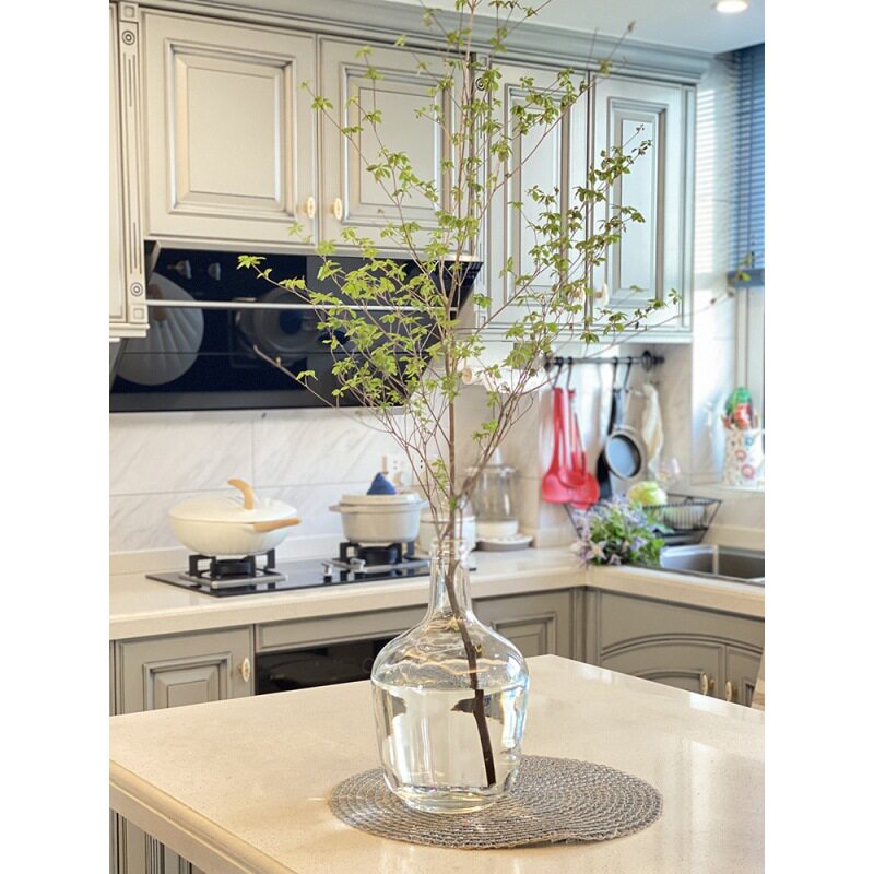 超大玻璃花瓶 新人首单立减十元 21年8月 淘宝海外