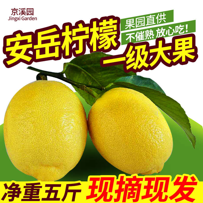 京溪园旗舰店四川安岳黄柠檬一级果大果5斤7-15个新鲜水果皮薄多汁 柠檬新鲜1