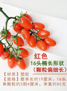 圣女果仿真假模型西红柿摆件塑料
