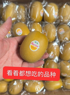仿真水果PU黄金奇异果带标家居饰品装饰摆件假猕猴桃模型手感真实