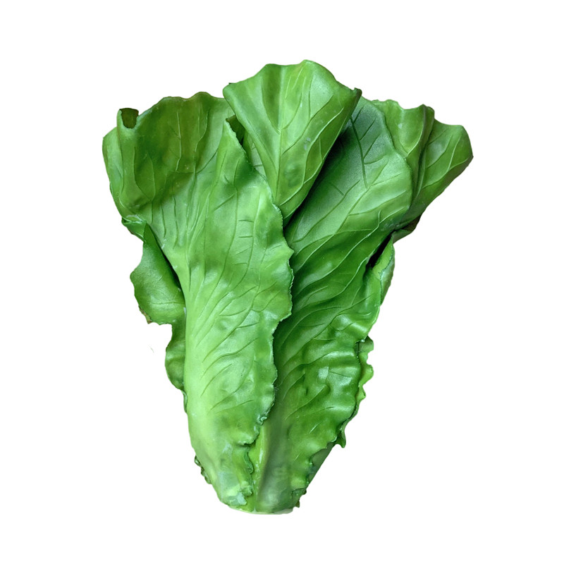 仿真水果蔬菜生菜模型家居厨柜家居摄影道具绿色生菜叶子摆件包邮,淘宝优惠券,粉丝福利购,淘宝优惠卷