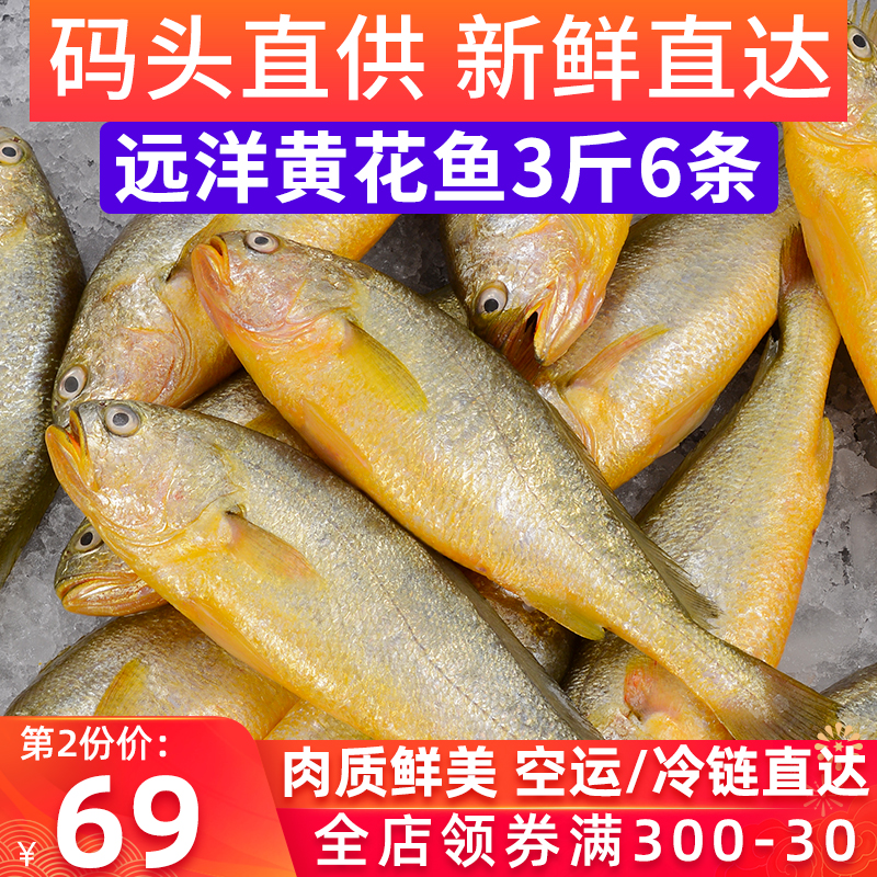  黄花鱼3斤6条海鲜新鲜冰鲜冷冻海捕鱼深海水产鲜活海鱼生鲜小黄鱼