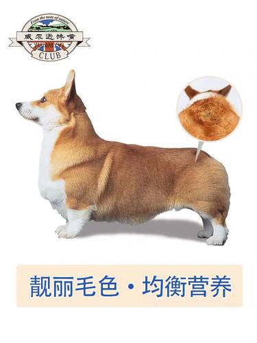 柯基犬成犬狗粮30斤 威尔逊馋嘴天然粮 鲜肉牛初乳狗粮10斤 3袋