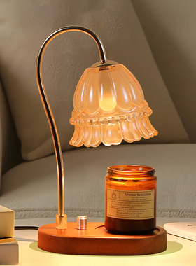 亚马逊家居熔蜡器个性摆件香薰灯融烛灯圣诞节生日礼台灯融蜡灯