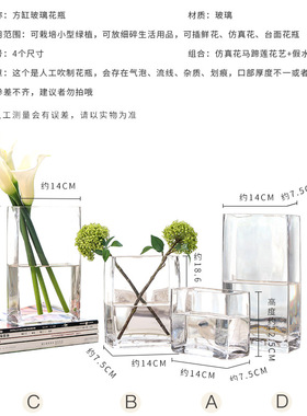 玻璃方缸水培花瓶客厅摆件