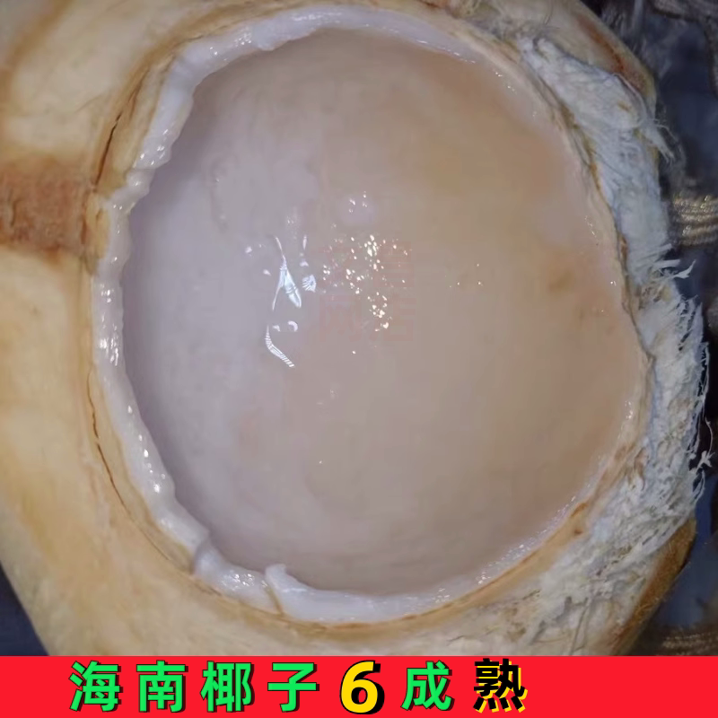 新鲜椰青海南正宗椰子牛奶椰皇煲老黑鸡汤孕妇水果汁水多整箱9个