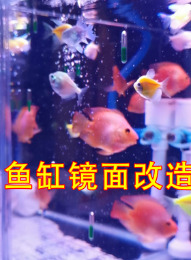 鱼缸水族馆鱼照镜子可弯曲可裁剪
