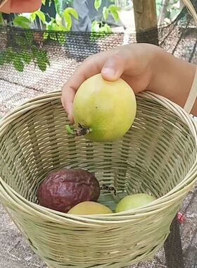 竹制品竹编四方银箩工艺品竹筐老式手提篮子圆形采摘篮