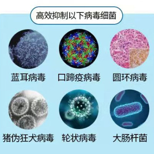 过硫酸氢钾消毒剂猪用养殖场卫可非瘟消毒液水产养殖兽用消毒粉 - 图1