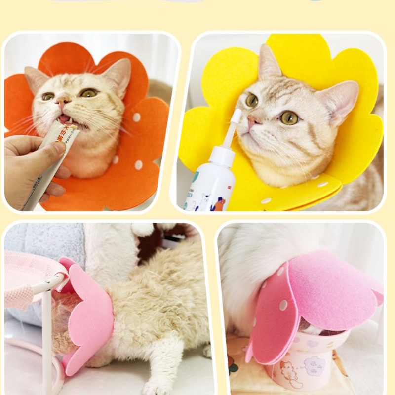 猫咪绝育防舔项圈白色颈圈狗狗脖圈宠物用品 - 图2