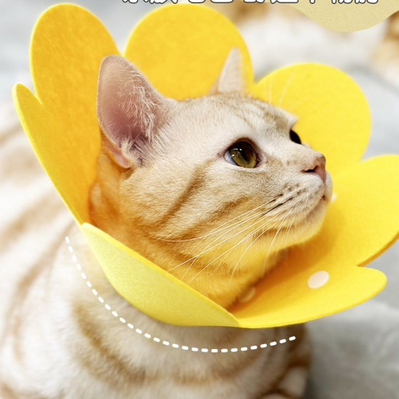 猫咪绝育防舔项圈白色颈圈狗狗脖圈宠物用品 - 图0