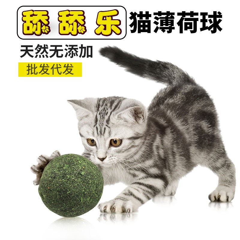 猫薄荷球猫玩具自嗨磨牙逗猫神器棒棒糖舔舔乐逗猫棒耐咬猫咪用品 - 图0