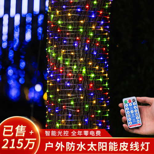 led彩灯氛围灯闪灯串灯户外防水太阳能皮线灯庭院过新年装饰树灯 - 图1