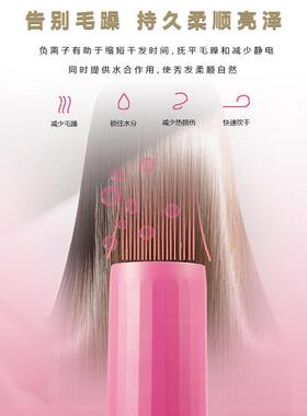 JRL鹰堡FP2020H超轻速干吹风机