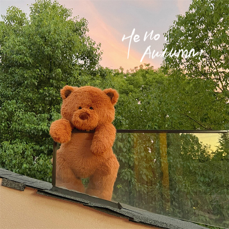 ENMA STUDIO正版可爱榛果熊玩偶儿童毛绒玩具棕色小熊ins节日礼物,淘宝优惠券,粉丝福利购,淘宝优惠卷