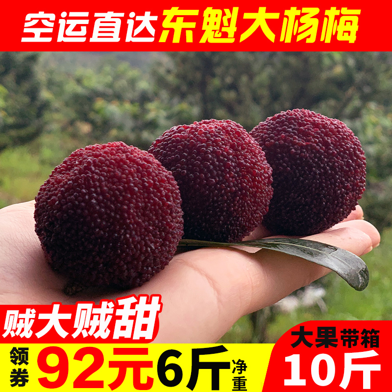 祥鲜水果旗舰店【6A大果】仙居杨梅新鲜东魁杨梅6斤装整箱当季孕妇水果现摘现发0