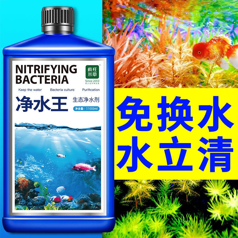 清洁液锦鲤鱼池硝化细菌水族鱼药鱼缸用养鱼净水剂水质稳定剂消化-图0