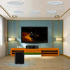 Shanshui T5 ceiling-mounted 5.1 living room home theater TV audio set TV home ceiling Bluetooth speaker